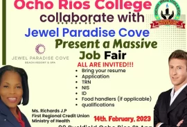 Job Fair